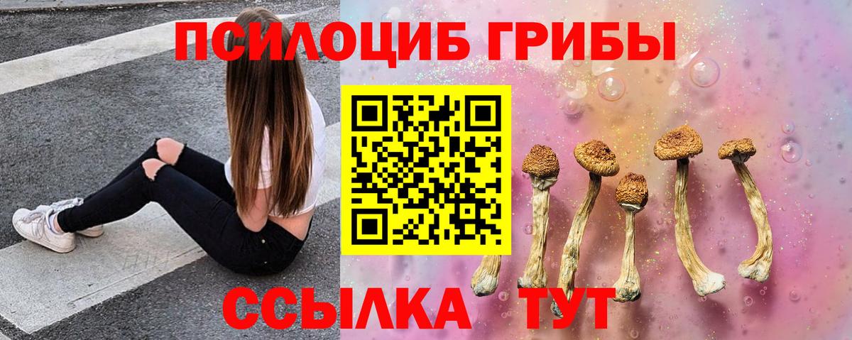 Псилоцибиновые грибы GOLDEN TEACHER Чехов